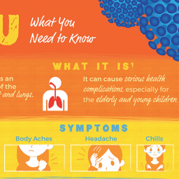 Flu infographic snippet