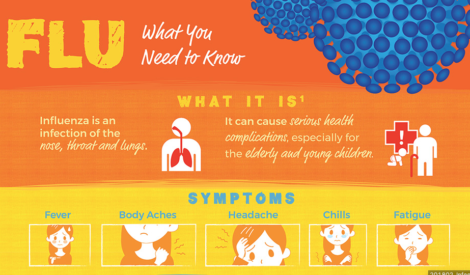 Flu infographic snippet